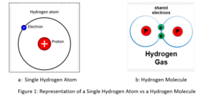 Hydrogen Embrittlement in Stainless